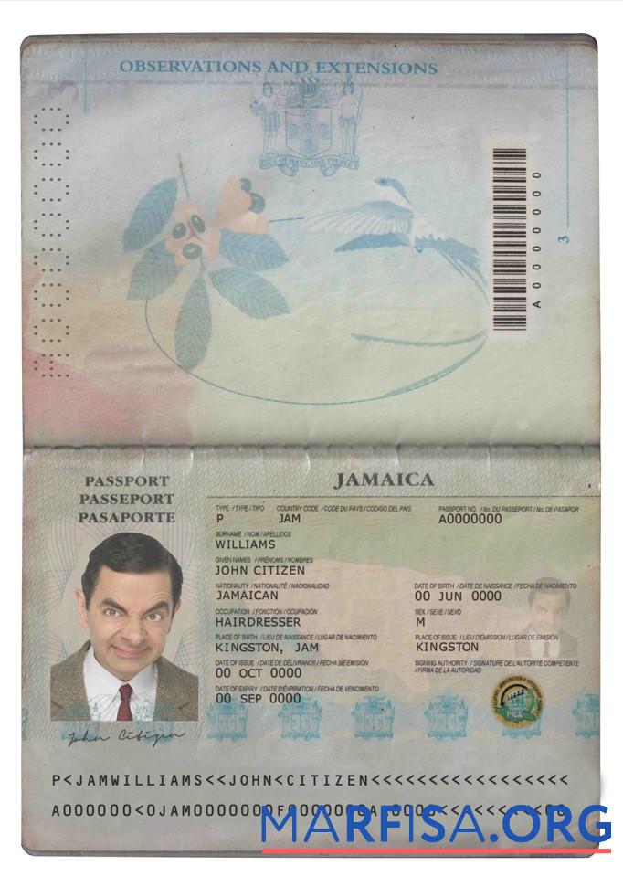 Printable Jamaica passport real example